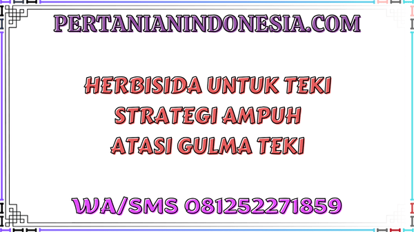 Herbisida Untuk Teki Strategi Ampuh Atasi Gulma Teki